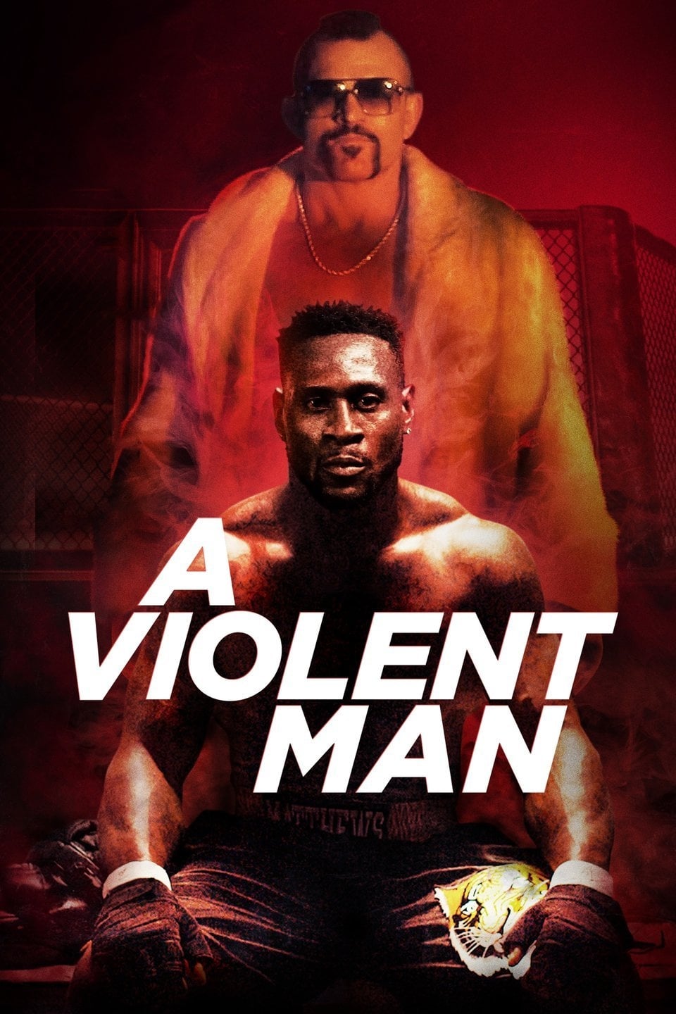 Постер A Violent Man